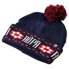 Christmas Beanie